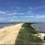 Bocas de Cenizas