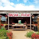 Balsam Farms