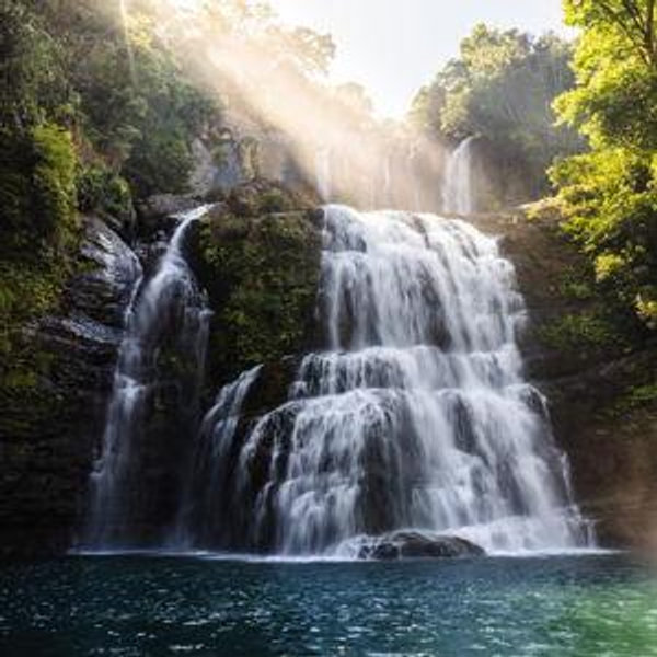 Costa Rica Waterfall and Wildlife Day Hike Tour
