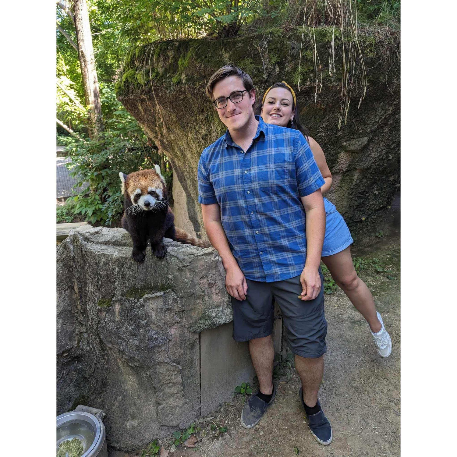 Red Pandas at the Colombus Zoo!! Yes, they were perfect.