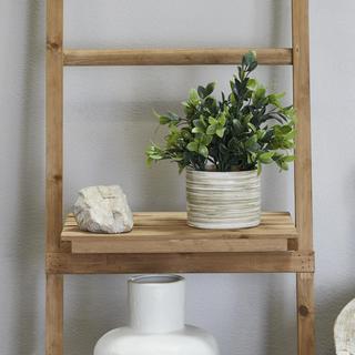 Artificial Eucalyputus Plant & Patterned Pot Set