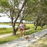 Wrightsville Beach Loop