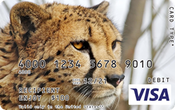 Visa Gift Card