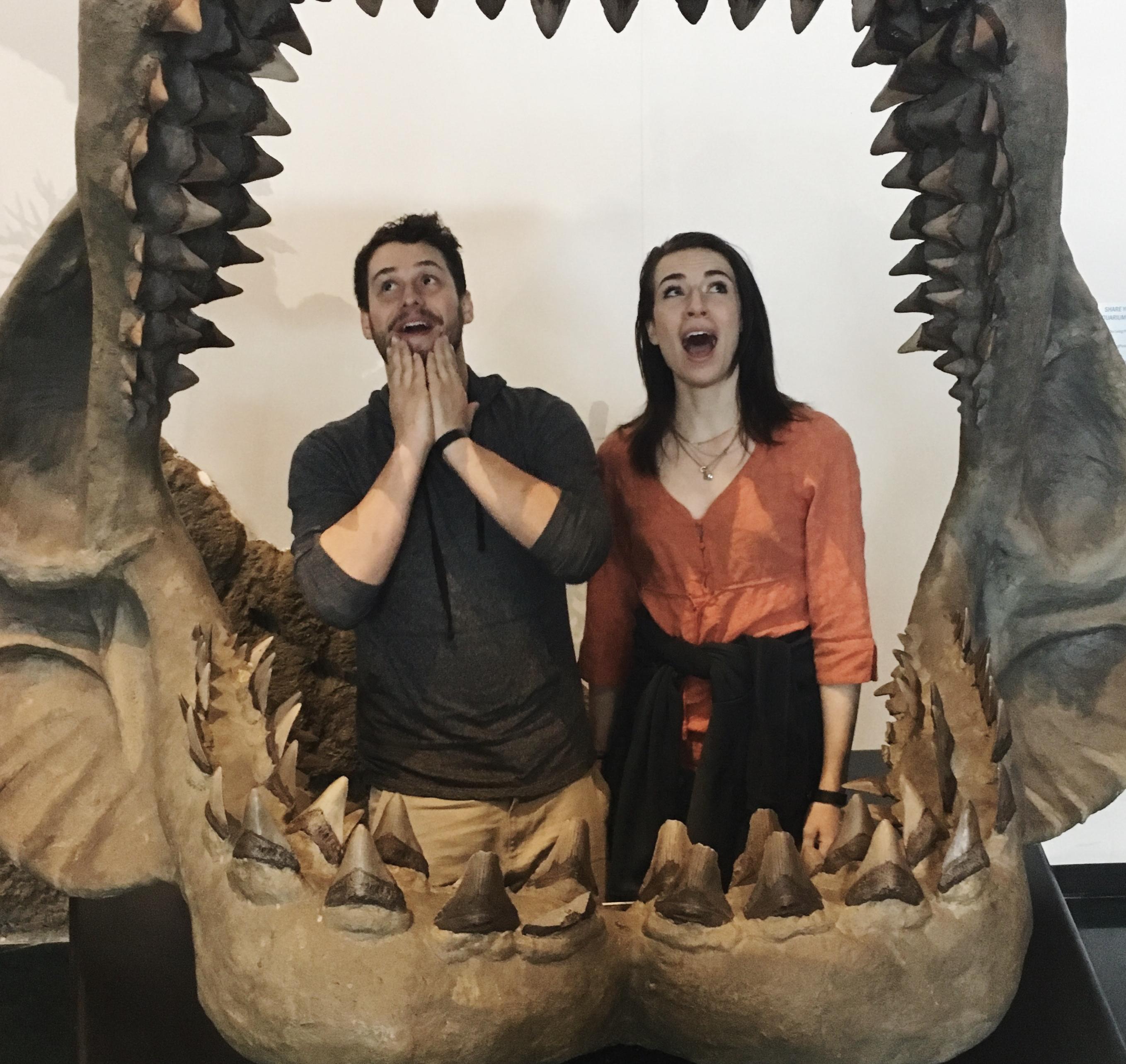 Museum Membership