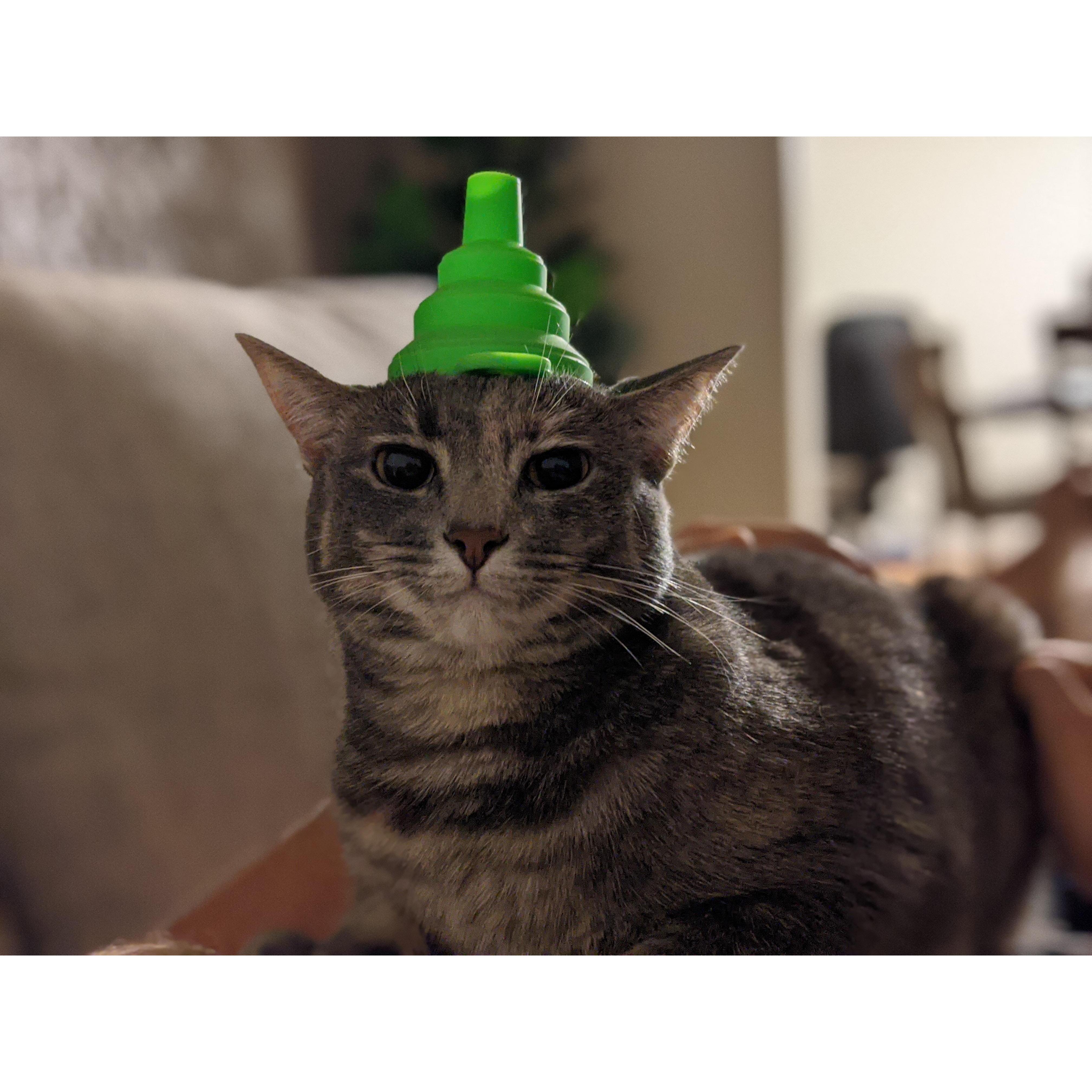 We adopted Ceylon in 2020
