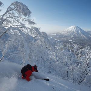 Honeymoon in Japan (Credit Card)