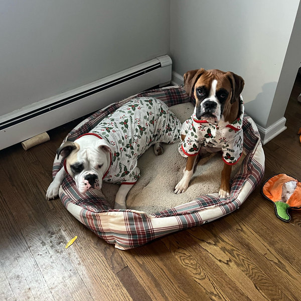 ASPCA Fund