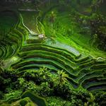 2. Ubud (Bali) – Cultural & Nature Vibes