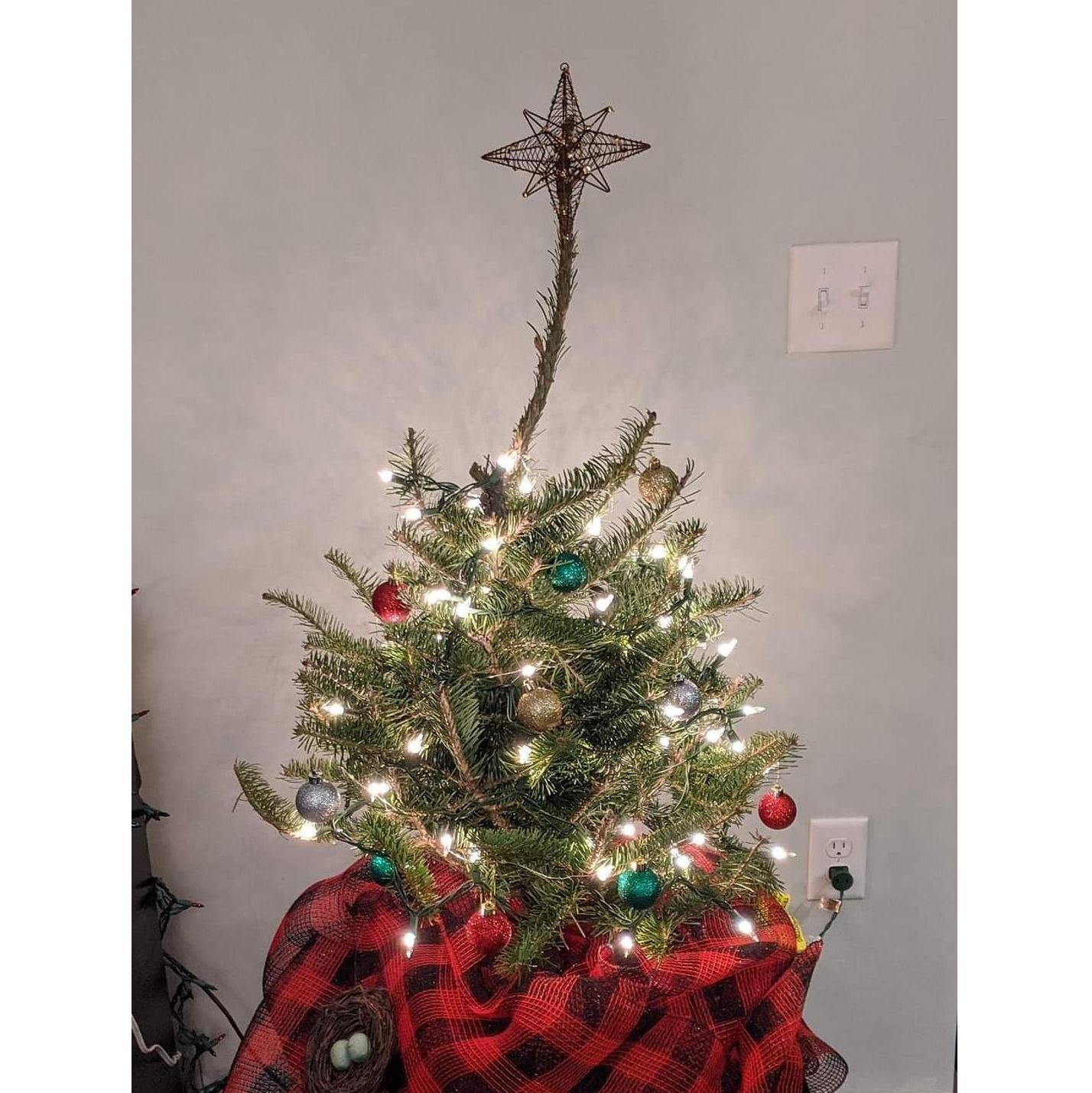 Our first Christmas tree