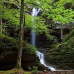 Ferne Clyffe State Park