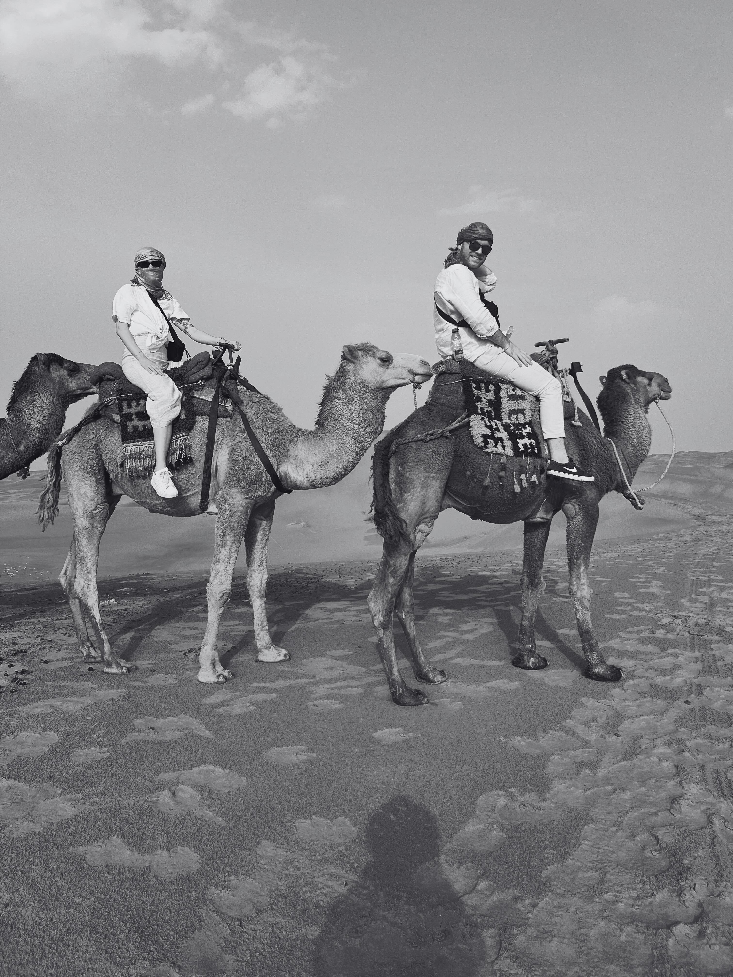 The Wedding Website of Jordan Flett and Connor Davies