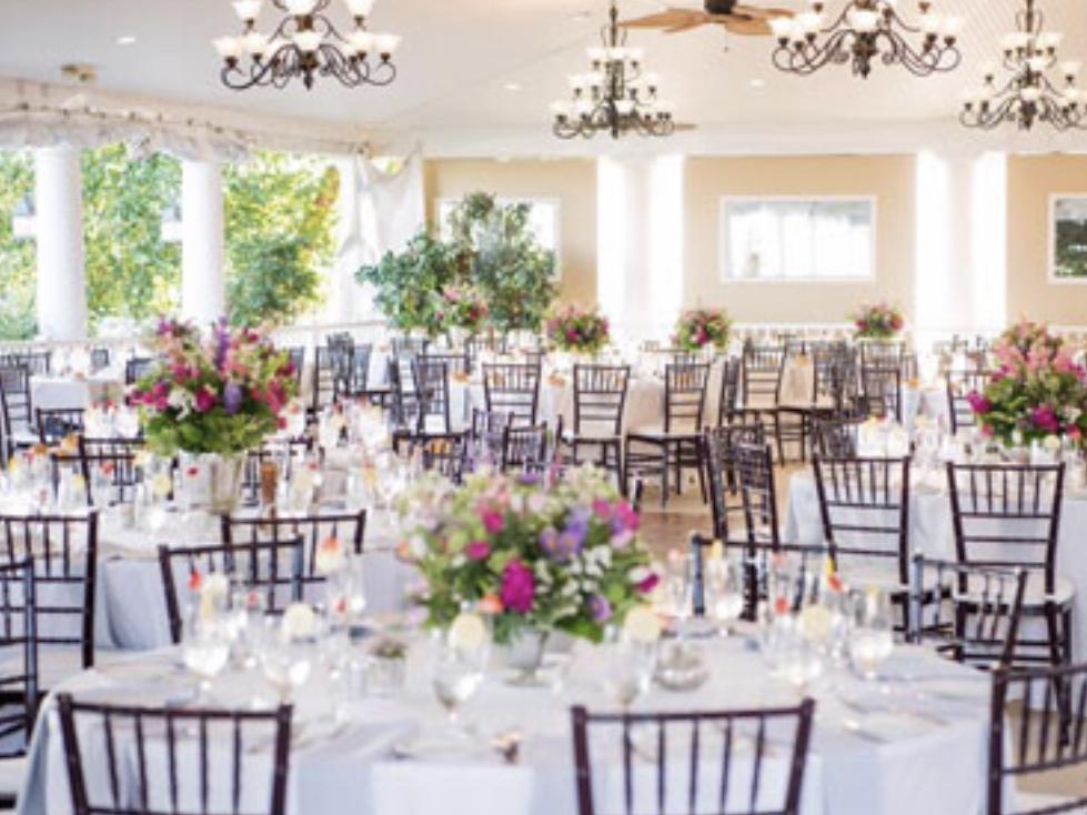 The Wedding Website of Erica Lyn Donnelly and James Anthony Cadolino