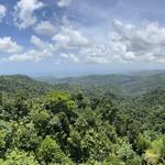El Yunque National Forest