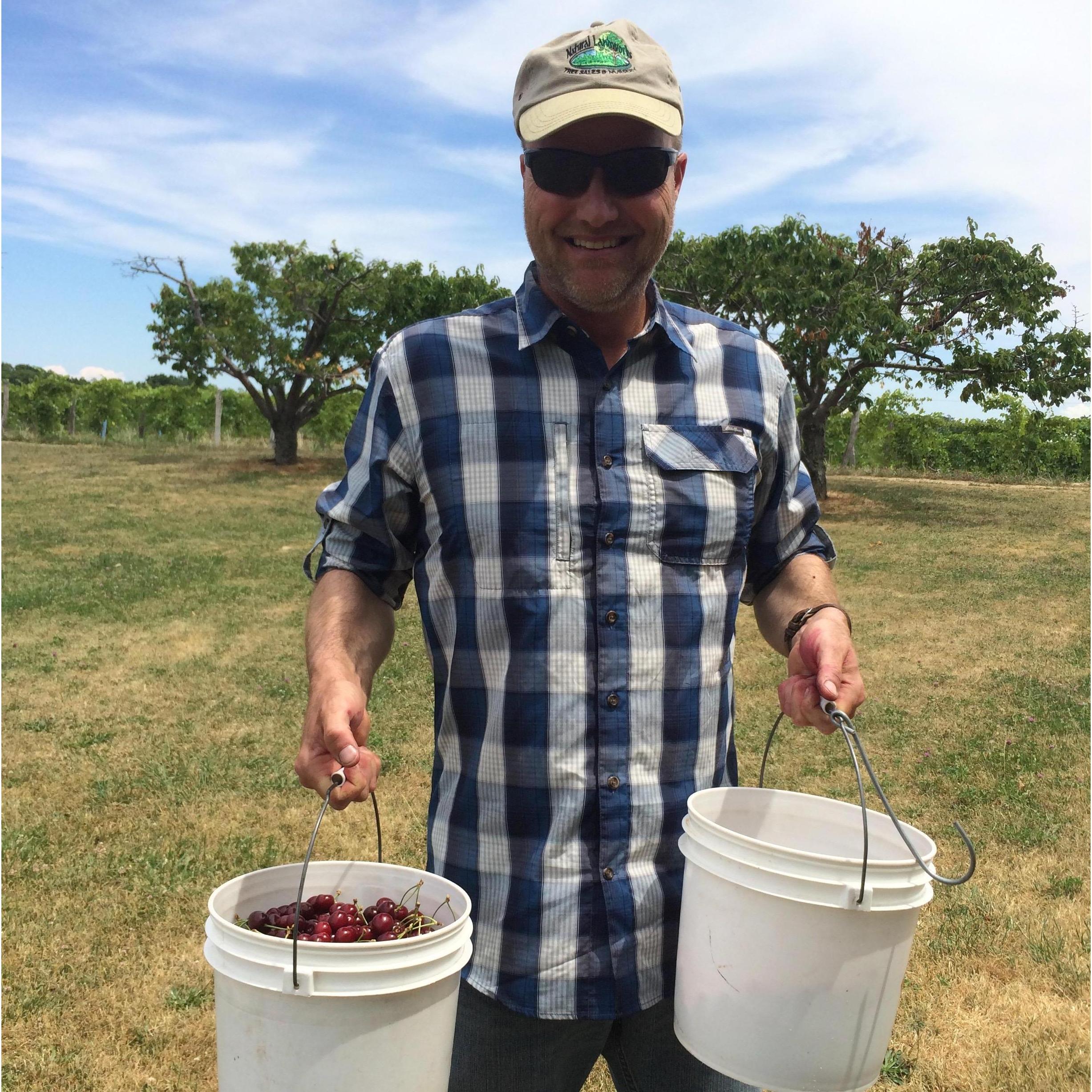 Cherry Picking