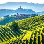 Tuscany Wine Tours