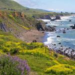 Sonoma Coast State Park