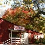 Snow-Line Orchard