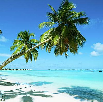 Beach Honeymoon