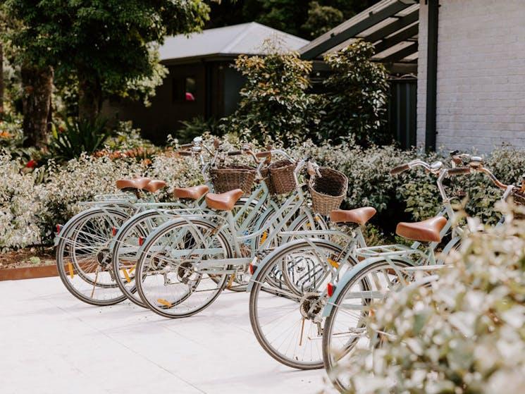 The Wedding Website of Sarah Davis and Josh Sims