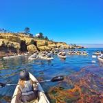 Kayaking & Snorkel Tours