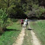 Tish Vest Horseback Riding