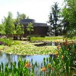 Norton Simon Museum