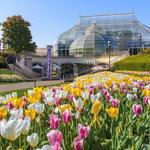 Phipps Conservatory and Botanical Gardens