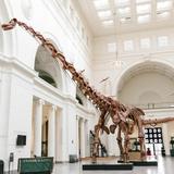 Field Museum