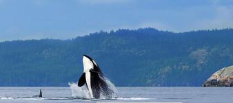 San Juan Islands