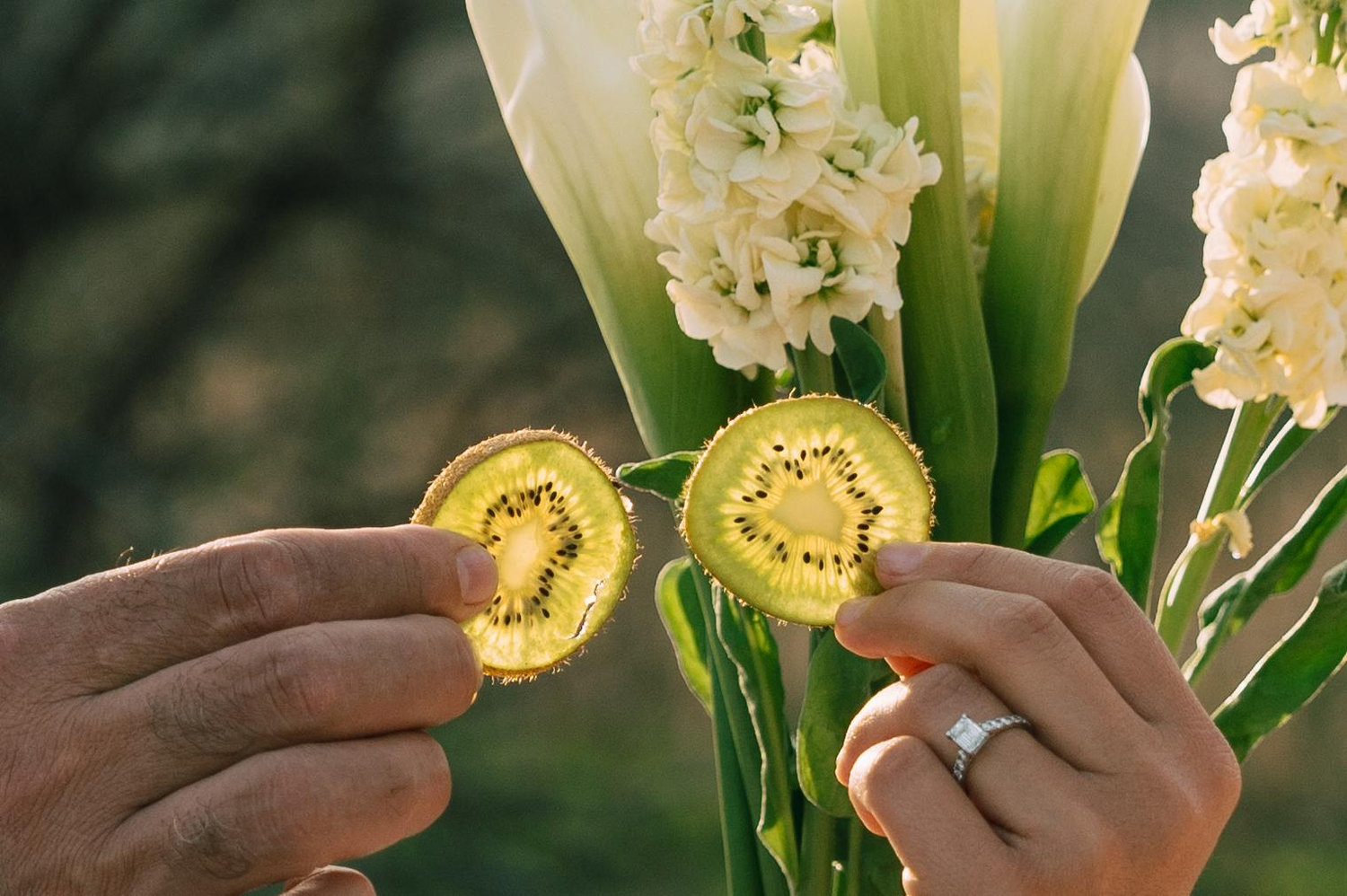 The Wedding Website of Alejandra Hernandez and Francisco Rodríguez