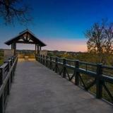Arbor Hills Nature Preserve