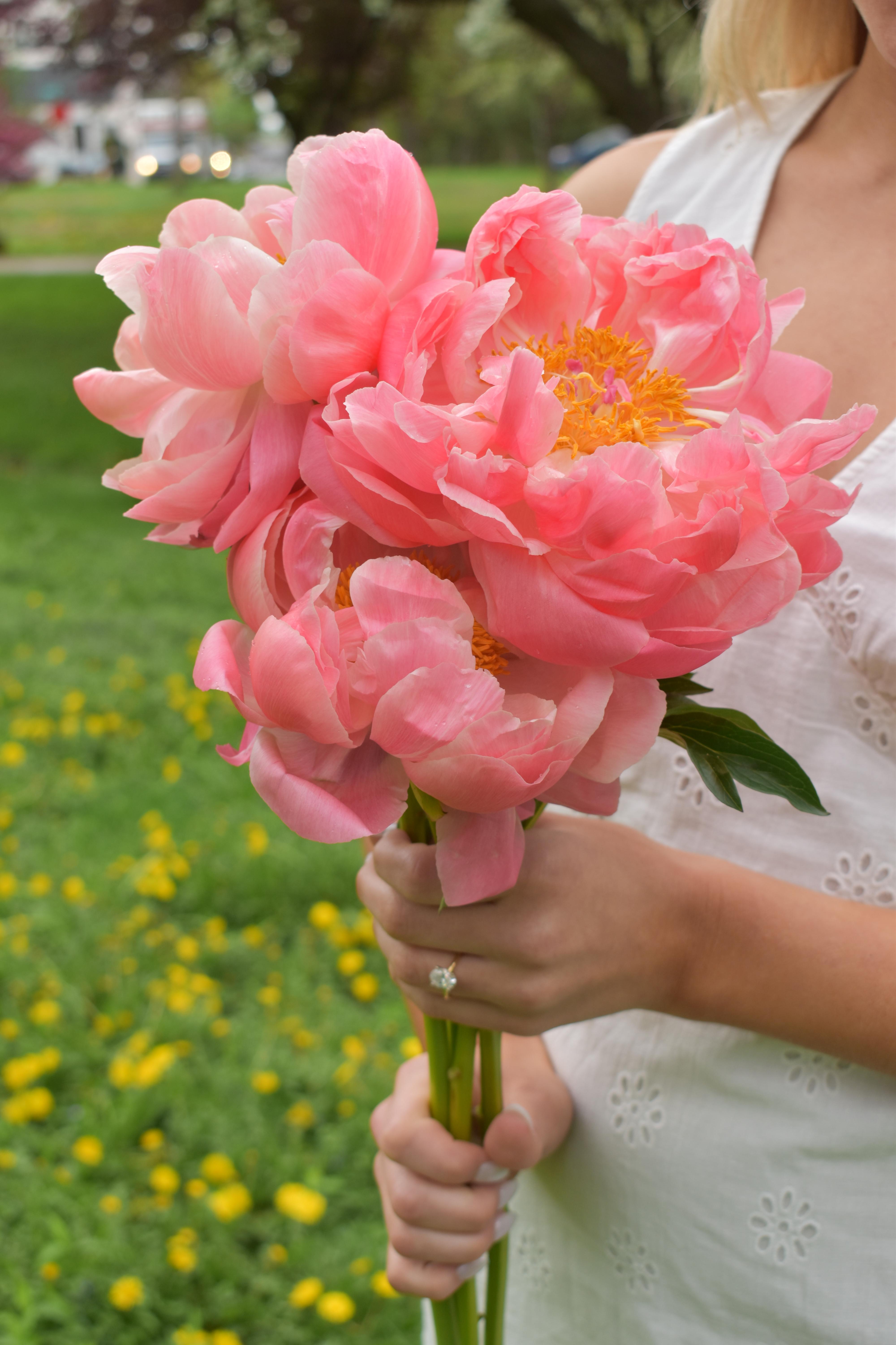 The Wedding Website of Christian Finn and Francesca Schirber