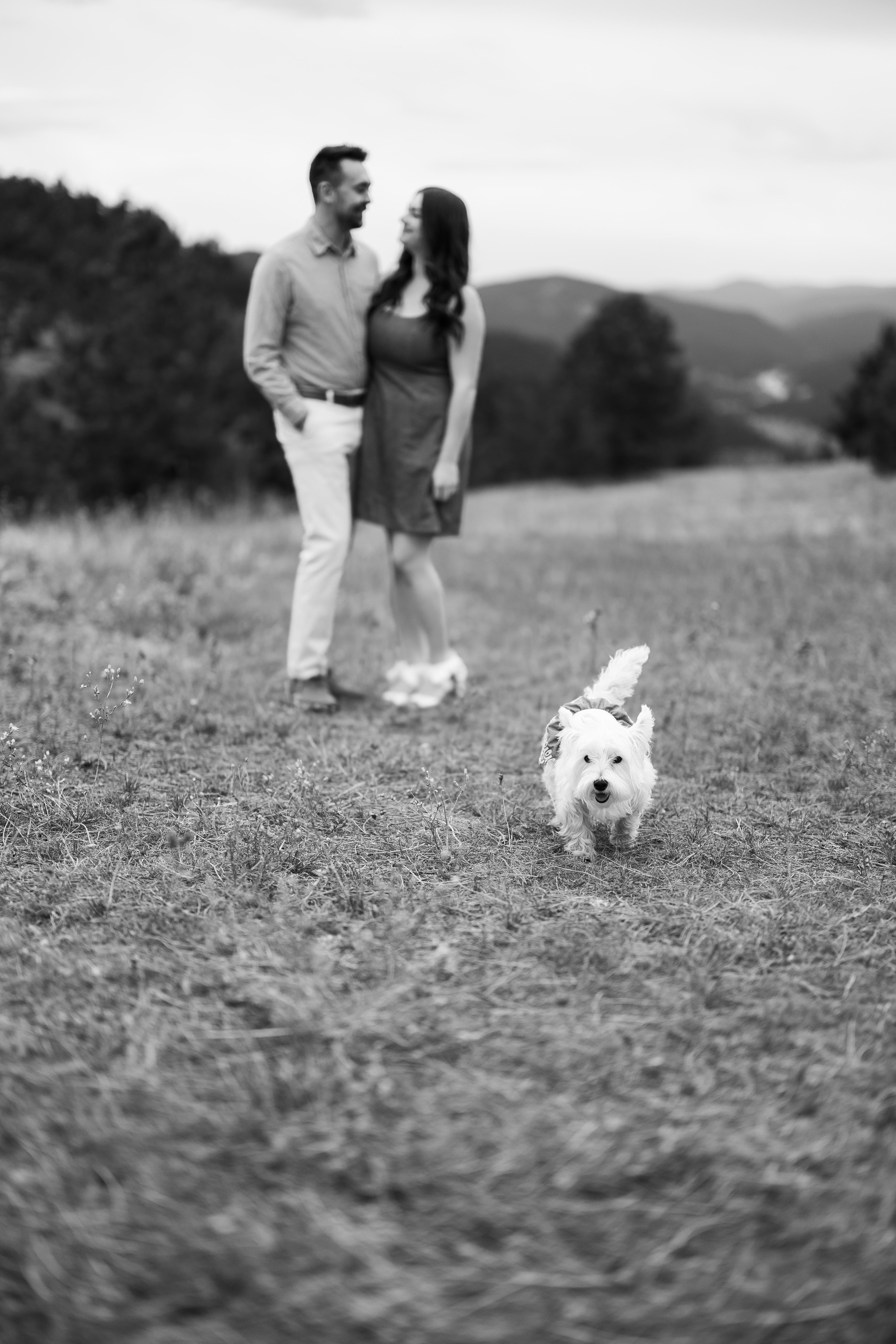 The Wedding Website of Carter Flaming and Mariah Gavito-Wildeman