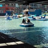 Buffalo Canalside