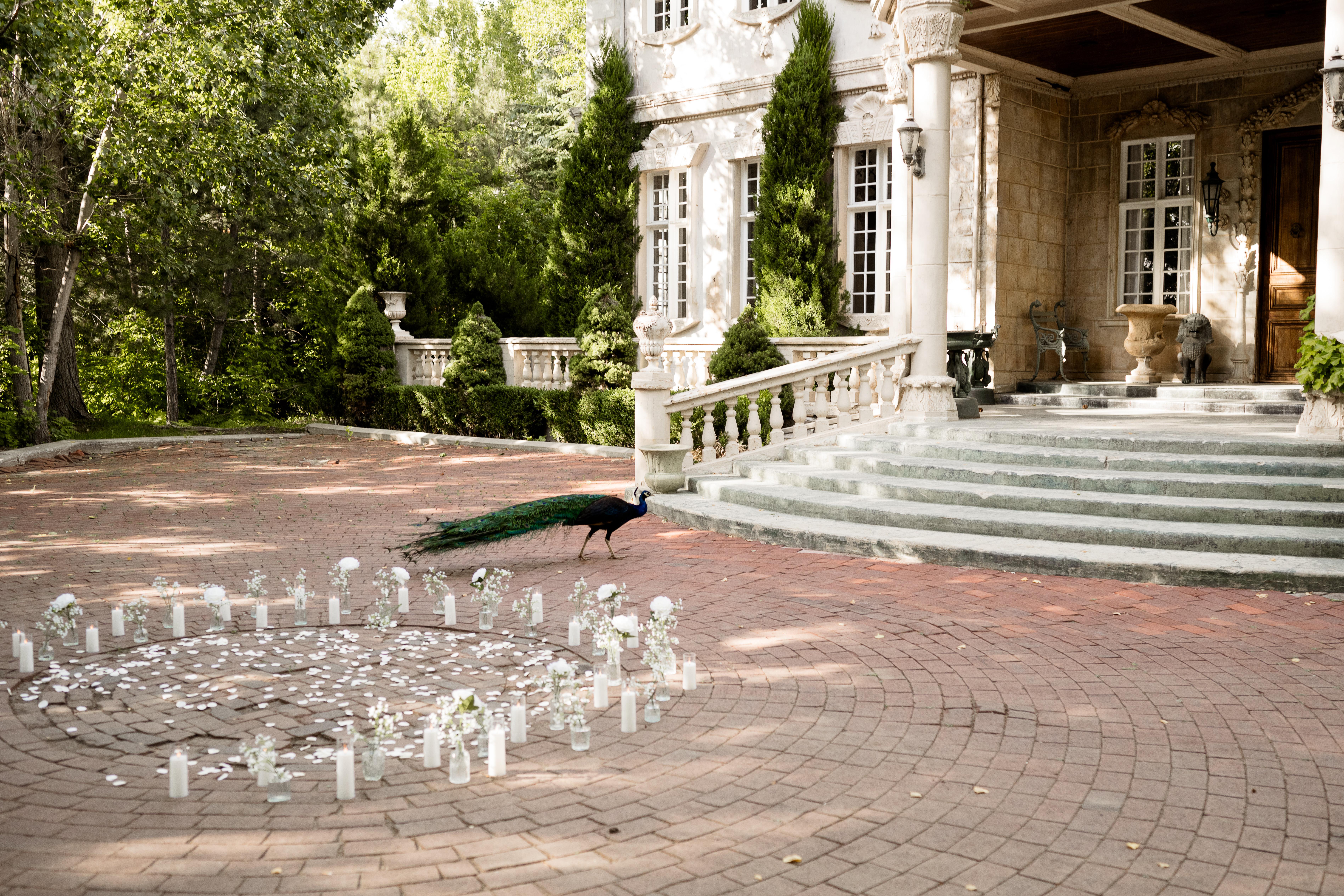 The Wedding Website of Abbie Esters and Devin Putnam