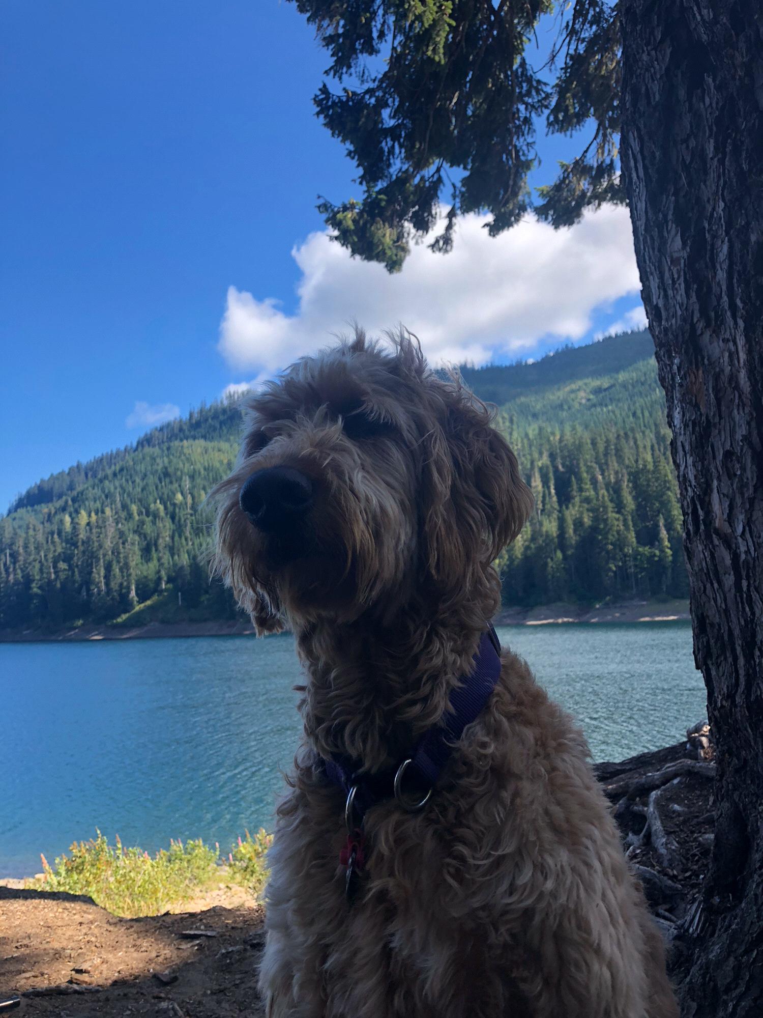 Camping, August 2017