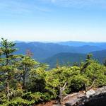 Hike to Mount Tom