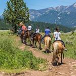 Jake's Horses Inc.