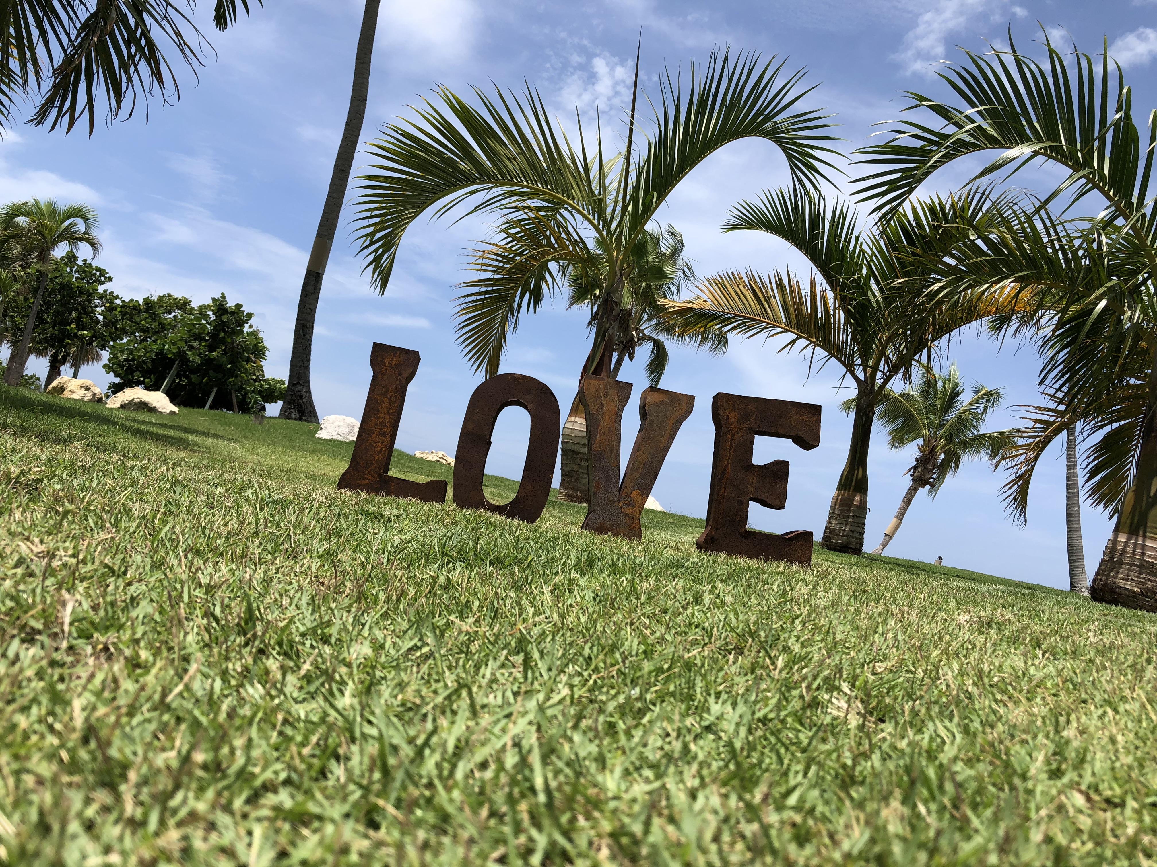 The Wedding Website of Denise Martinez and Jose Emmanuel Marrero