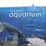Riverhead Aquarium