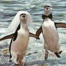 Us frolicking through the water, happy as can be
