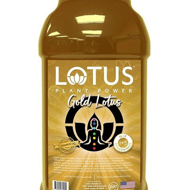 Gold Lotus Plant Energy Drink Concentrate | Pure Cane Sugar | 64 fl oz | 1:5 | Natural Caffeine from Green Coffee Bean