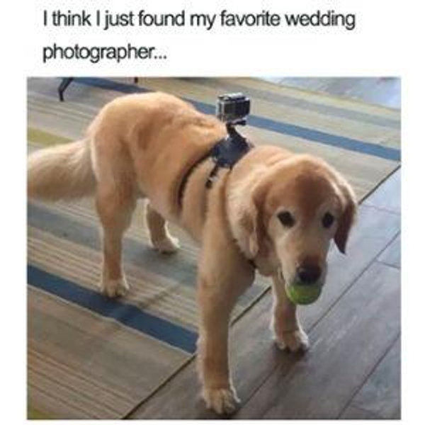 Our Wedding Photographer