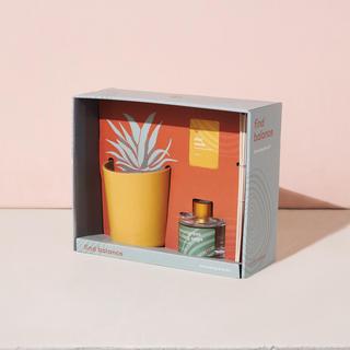 Find Balance Grounding Aloe Kit