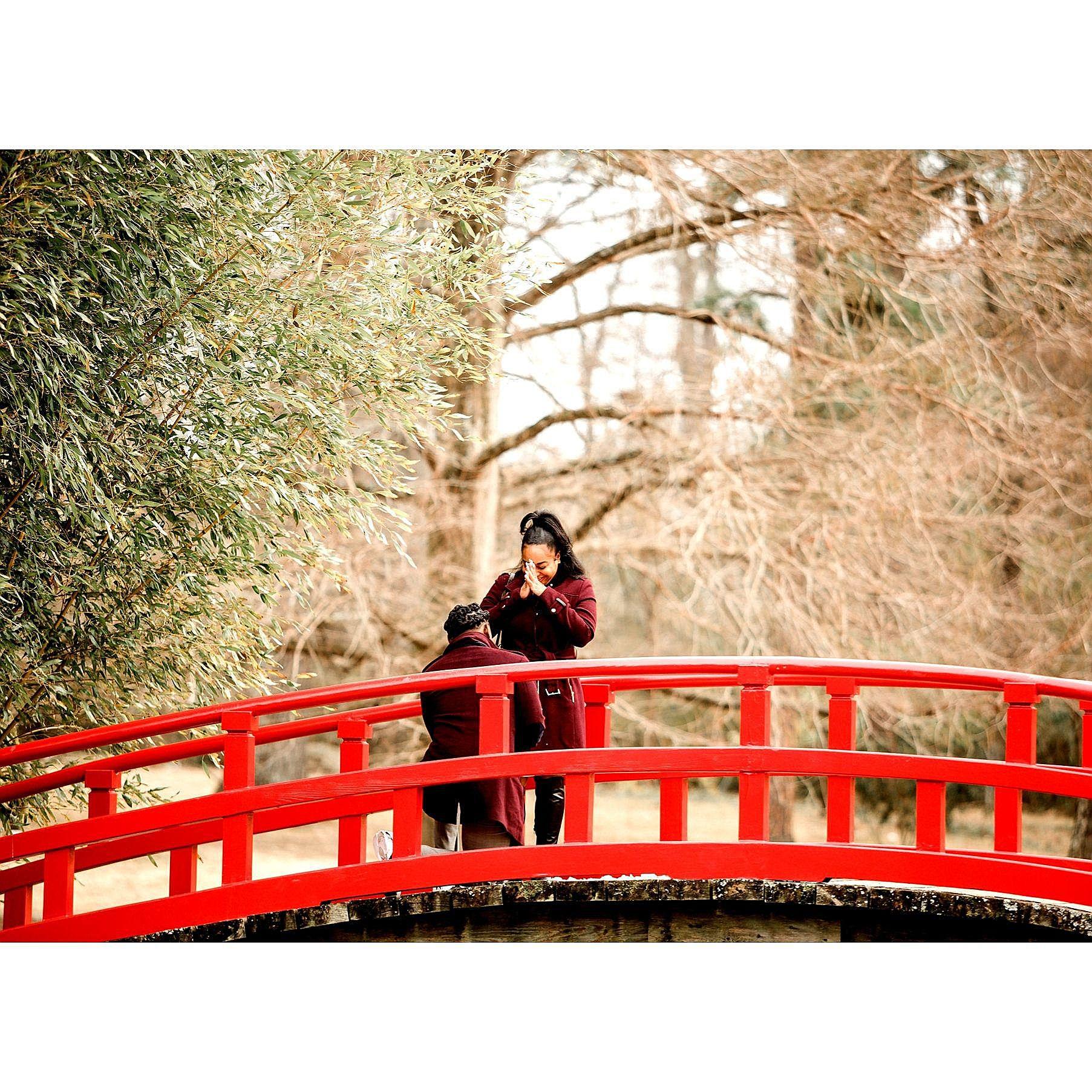 The engagement at the Memphis Botanical Gardens