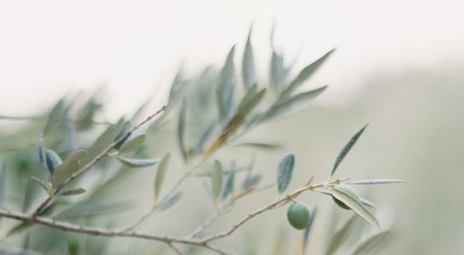 Footer image