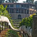 Montaluce Winery & Restaurant