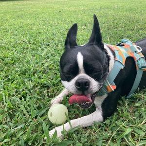 Benny's Treat Fund