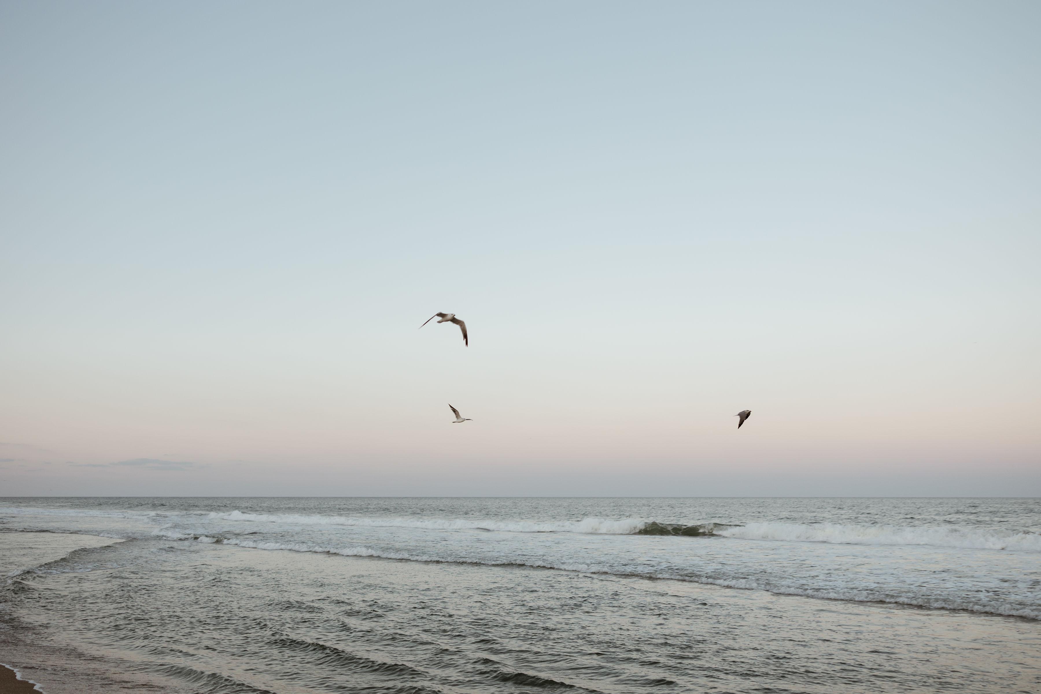 The Wedding Website of Riley Blue and Peter Janiw