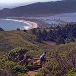 Mount Tamalpais